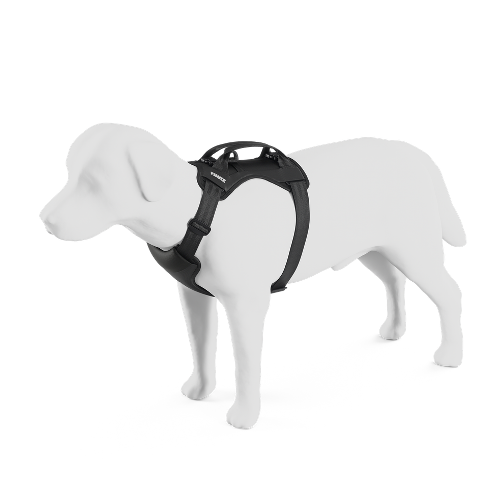 Шлейка Thule Cappy L